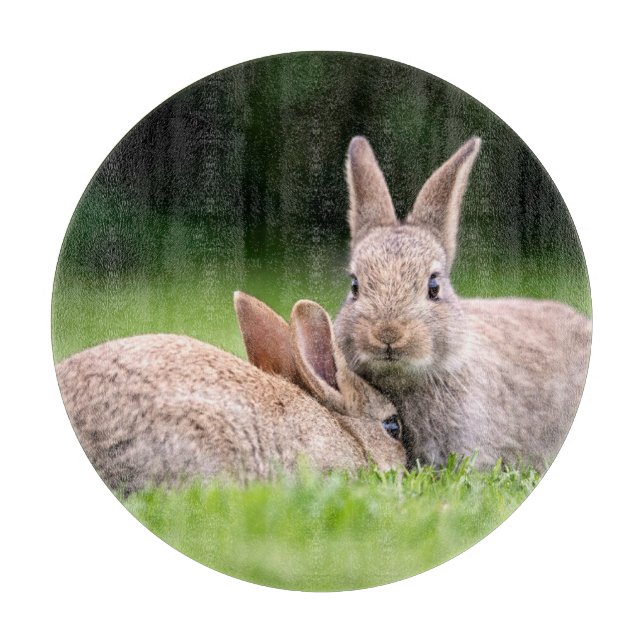 Cutest Baby Animals | Wild Bunny Rabbits Cutting Board (Front)