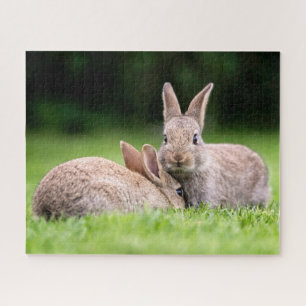 Cutest Baby Animals   Wild Bunny Rabbits Jigsaw Puzzle