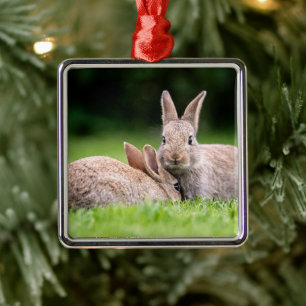 Cutest Baby Animals Wild Bunny Rabbits Metal Tree Decoration