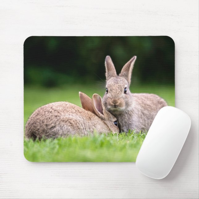Cutest Baby Animals | Wild Bunny Rabbits Mouse Pad (With Mouse)