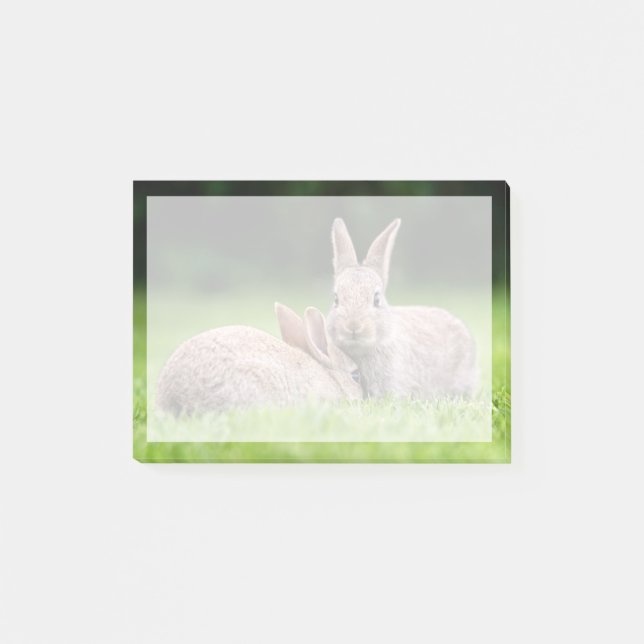 Cutest Baby Animals | Wild Bunny Rabbits Post-it Notes (Front)