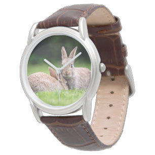 Cutest Baby Animals Wild Bunny Rabbits Watch