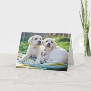 Cutest Baby Animals Yellow Labrador Retrievers Card