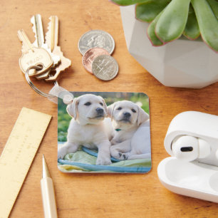 Cutest Baby Animals   Yellow Labrador Retrievers Key Ring