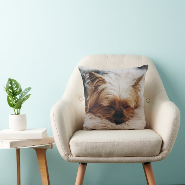 Cutest Baby Animals | Yorkshire Terrier Cushion (Chair)