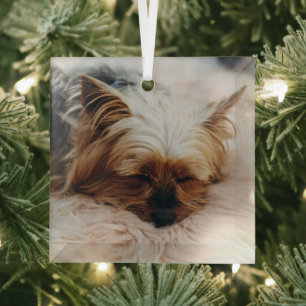 Cutest Baby Animals Yorkshire Terrier Glass Tree Decoration