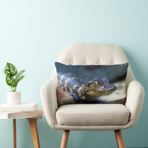 Cutest Baby Animals   Young Alligator Lumbar Cushion