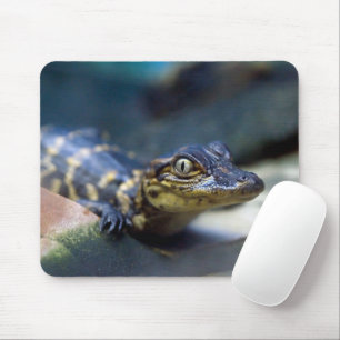 Cutest Baby Animals Young Alligator Mouse Pad