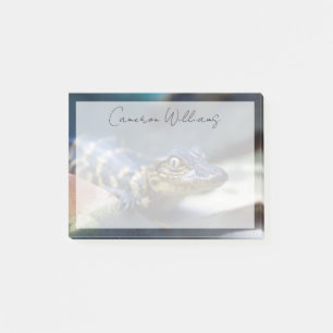 Cutest Baby Animals Young Alligator Post-it Notes