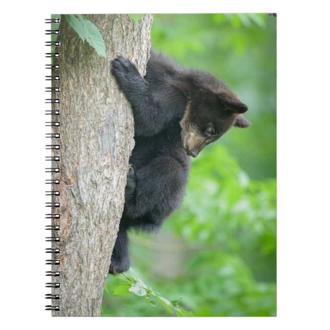 Cutest Baby Animals | Young Black Bear Cub Notebook (Front)