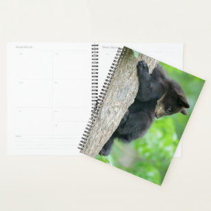 Cutest Baby Animals Young Black Bear Cub Planner