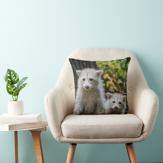 Cutest Baby Animals | Young Blonde Raccoons Cushion (Chair)