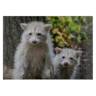 Cutest Baby Animals Young Blonde Raccoons Cutting Board