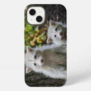 Cutest Baby Animals Young Blonde Raccoons iPhone 13 Case