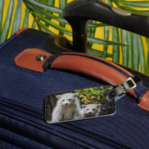 Cutest Baby Animals Young Blonde Raccoons Luggage Tag