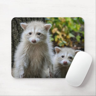 Cutest Baby Animals   Young Blonde Raccoons Mouse Pad