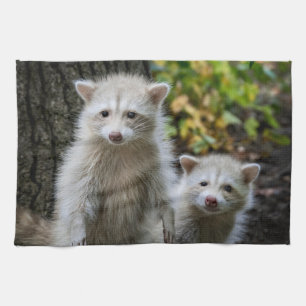Cutest Baby Animals Young Blonde Raccoons Tea Towel