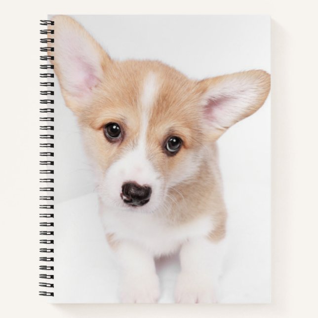 Cutest Baby Animals | Young Corgi Puppy Notebook (Front)