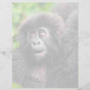 Cutest Baby Animals Young Mountain Gorilla