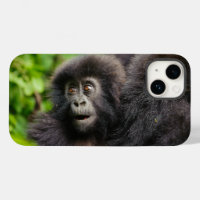 Cutest Baby Animals | Young Mountain Gorilla