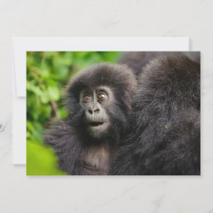 Cutest Baby Animals Young Mountain Gorilla Thank You Card