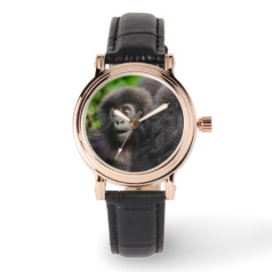 Cutest Baby Animals   Young Mountain Gorilla Watch