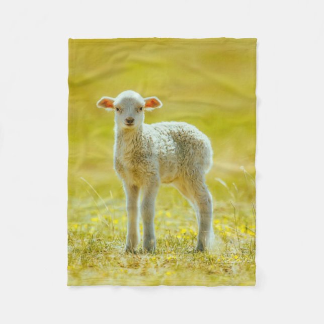 Cutest Baby Animals | Young Sheep Fleece Blanket (Front)