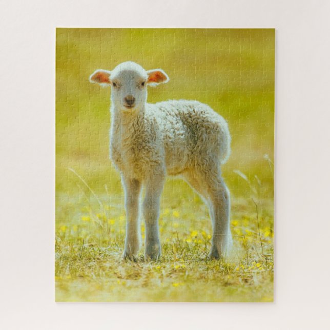 Cutest Baby Animals | Young Sheep Jigsaw Puzzle (Vertical)