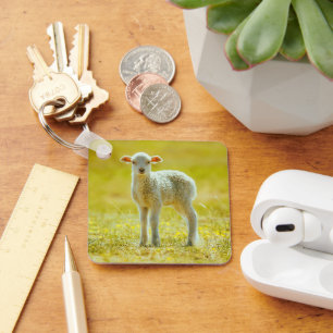 Cutest Baby Animals Young Sheep Key Ring