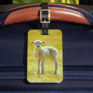 Cutest Baby Animals Young Sheep Luggage Tag