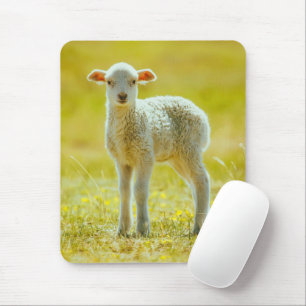 Cutest Baby Animals   Young Sheep Mouse Pad
