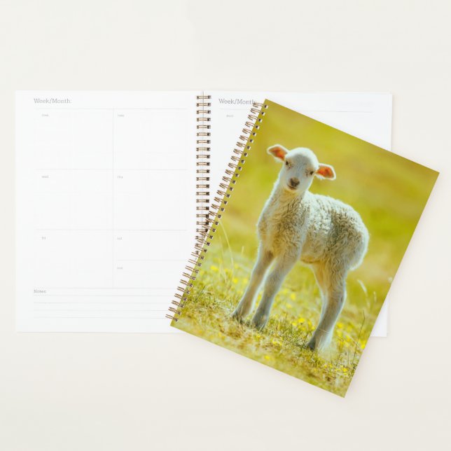 Cutest Baby Animals | Young Sheep Planner (Display)