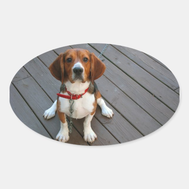 Cutest Beagle Dog Ever Oval Sticker (Front)