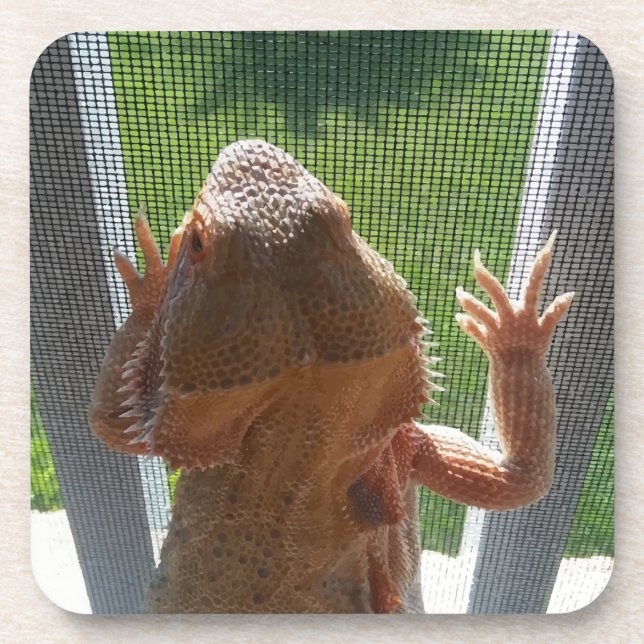 Cutest Bearded Dragon Photo Print Coaster (Front)