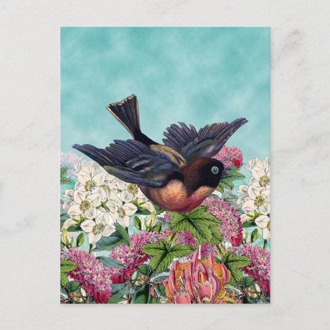 cutest bird with blue eyes flying over flowers postcard (Front)