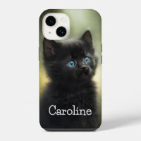 Cutest Black Kitten With Blue Eyes, Customisable