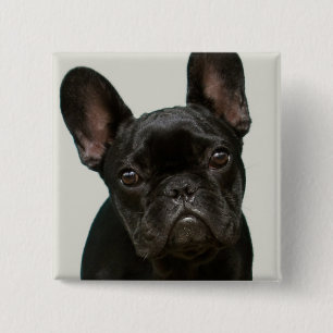 Cutest French Bulldog Puppy 15 Cm Square Badge
