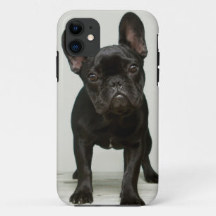 Cutest French Bulldog Puppy Case-Mate iPhone Case