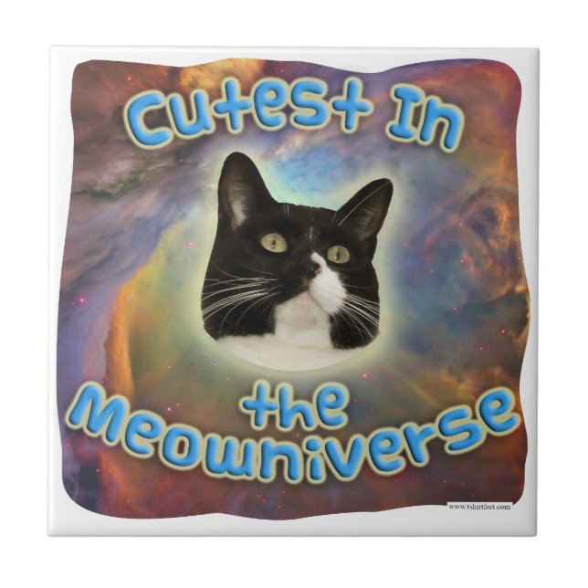 Cutest in the Meowniverse Tile (Front)