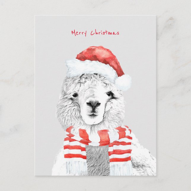 Cutest Llama Ever Minimalist Christmas Postcard (Front)