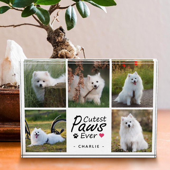 Cutest Paws Ever Modern Cute Pet Dog Photo Collage (Creator Uploaded)