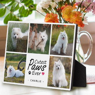 Cutest Paws Ever Modern Cute Pet Dog Photo Collage Plaque
