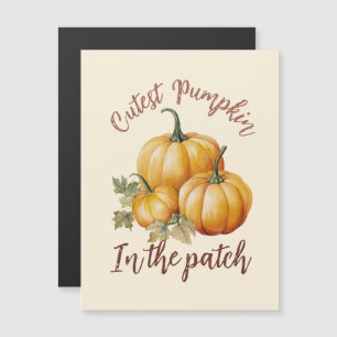 Cutest Pumpkin in the Patch