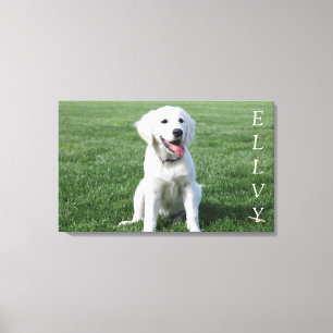 Cutest puppy on canvas print