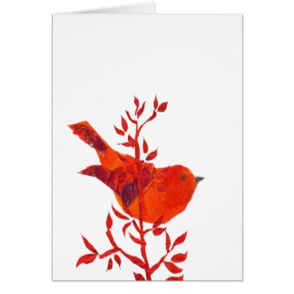 Cutest Red Bird on the planet
