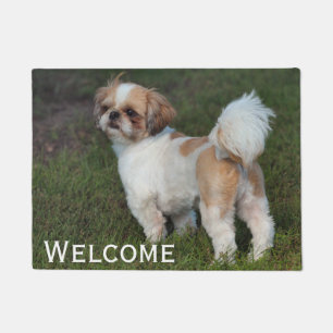 Cutest  Shih Tzu Doormat