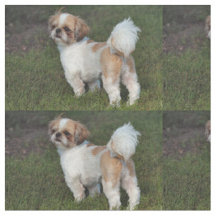 Cutest Shih Tzu Fabric