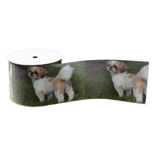 Cutest Shih Tzu Grosgrain Ribbon