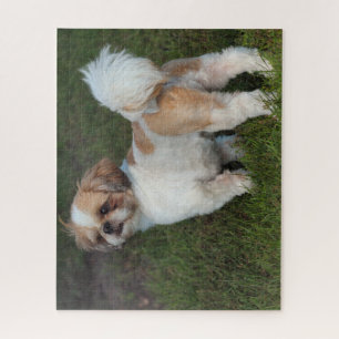 Cutest Shih Tzu Jigsaw Puzzle