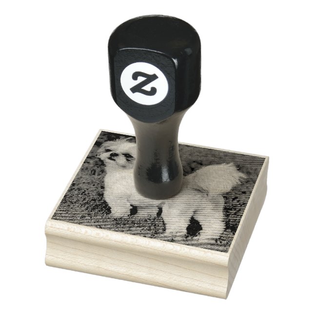 Cutest Shih Tzu Rubber Stamp (Stamp)